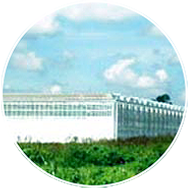 Agropark Image A